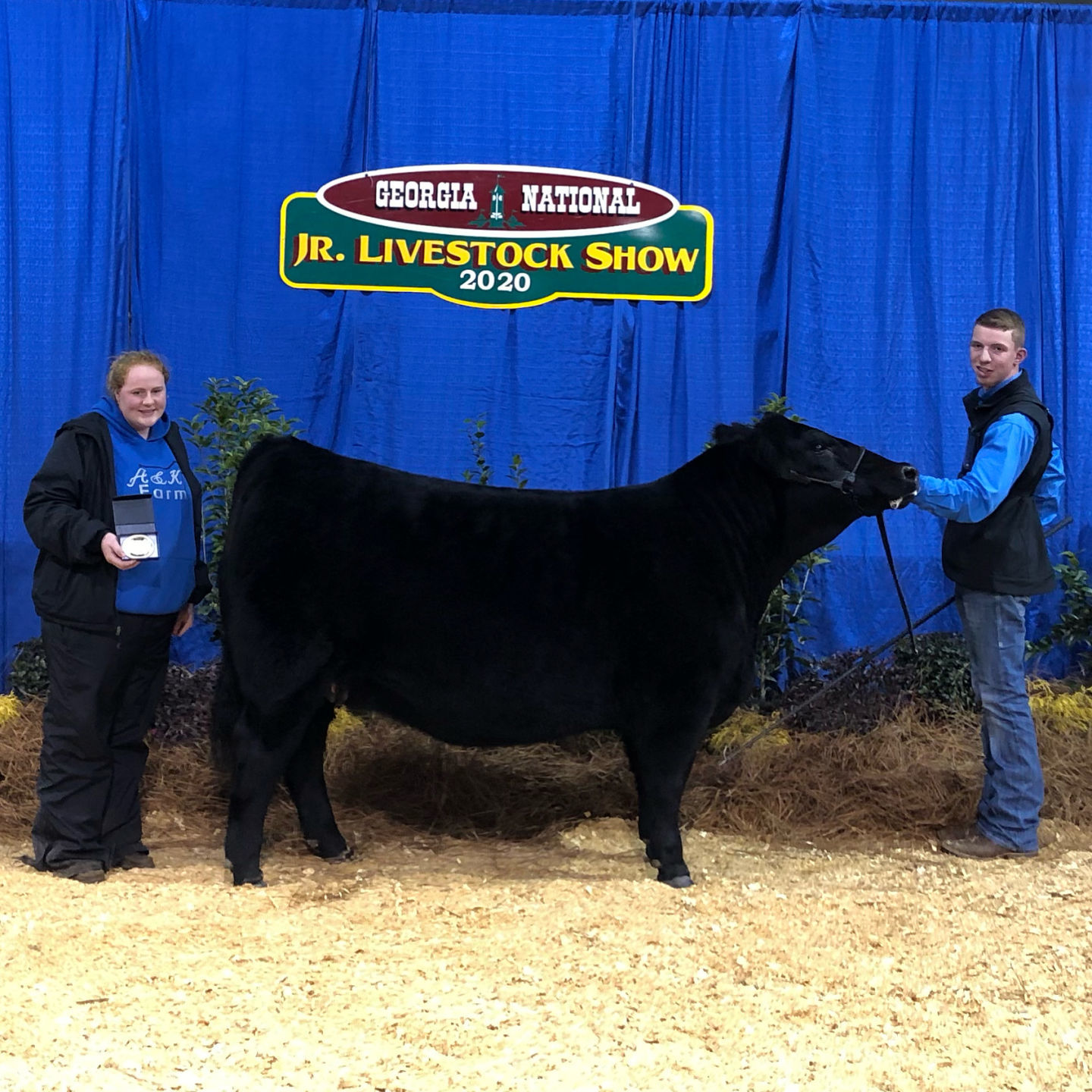 Dalton competes in livestock show
